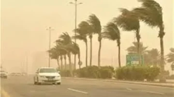 الأرصاد تحذر من رياح مثيرة للأتربة وتدهور الرؤية مع أمطار متوقعة اليوم